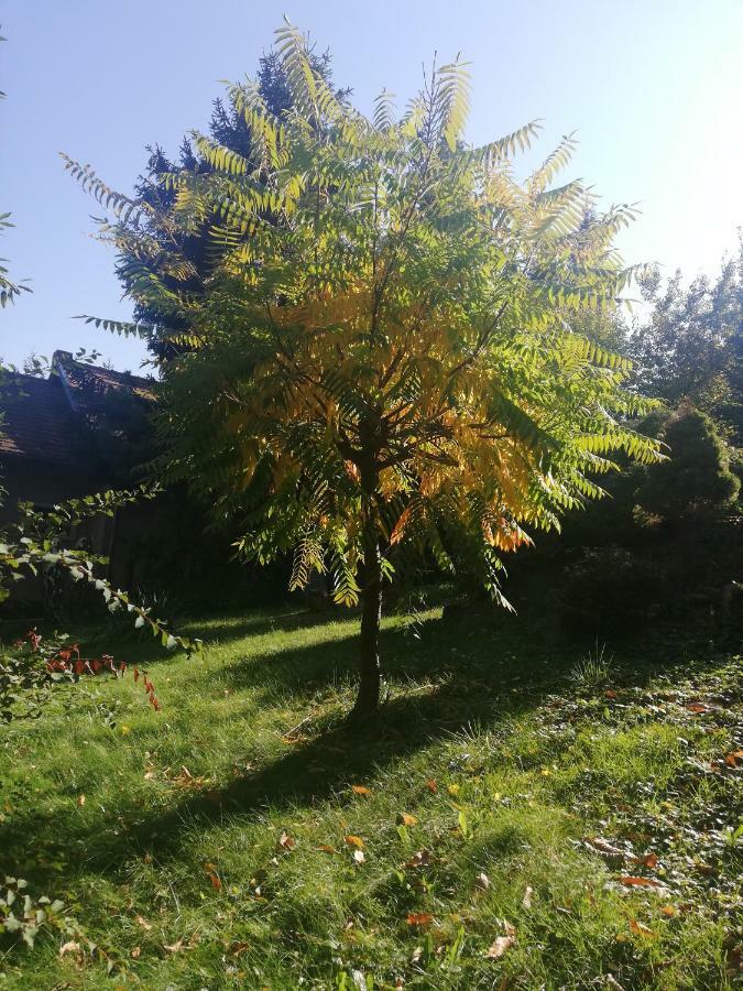 ホテル Mohas Vendeghaz Koszeg Mohas Ut 107 エクステリア 写真