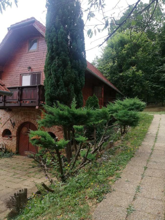 ホテル Mohas Vendeghaz Koszeg Mohas Ut 107 エクステリア 写真